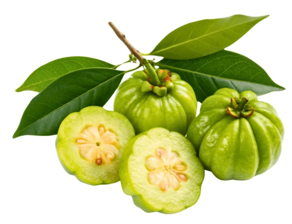 다이어트 영양제 대표주자 가르시니아