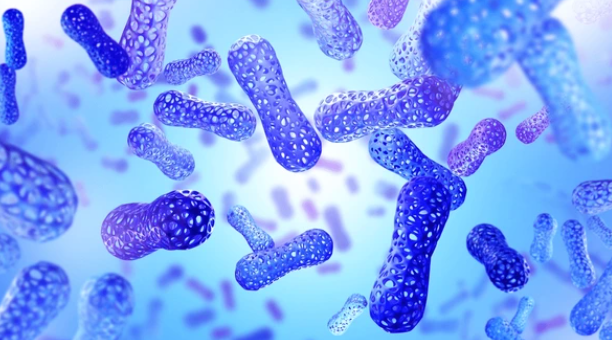 다이어트 유산균을 나타내는 이미지